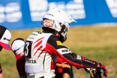 kuba_TARKRO-39