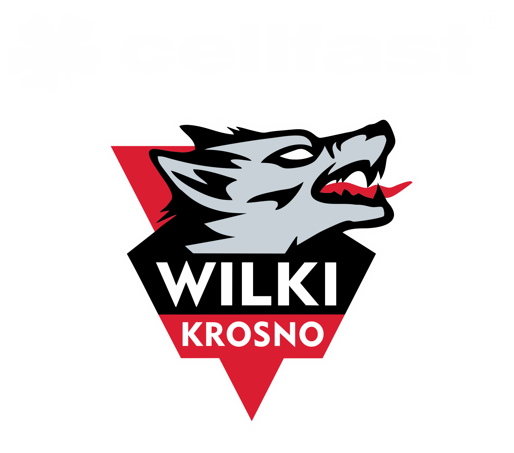 Wilki Krosno